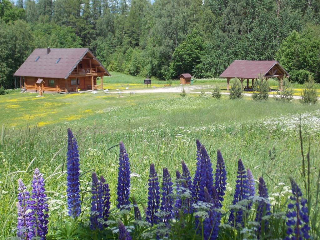 Guest House Kalnini Kārļi Екстериор снимка