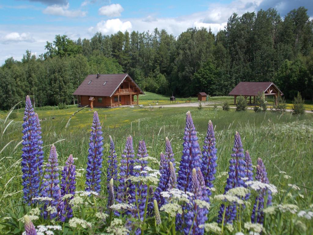 Guest House Kalnini Kārļi Екстериор снимка